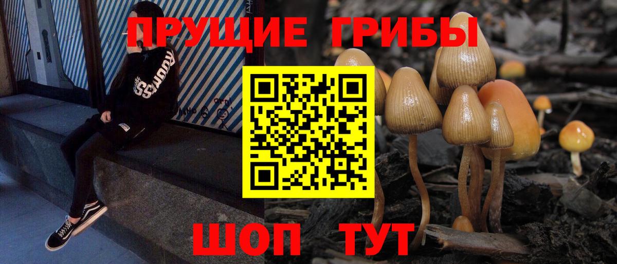 Галлюциногенные грибы прущие грибы  Вход с VPN  Орск  Галлюциногенные грибы ЛСД 