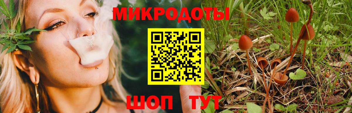 Псилоцибиновые грибы Magic Shrooms Орск